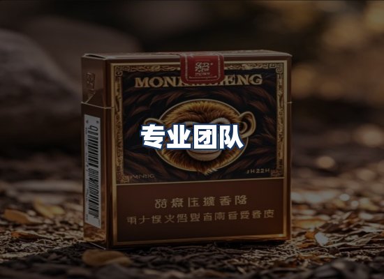 专业团队